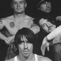 rock Red Hot Chili Peppers lyrics